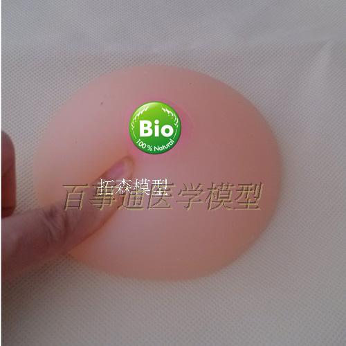 假乳女性乳房模型义乳模型催乳师培训教具哺乳教学模型(纯硅胶)