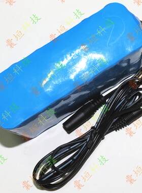 全新进口电芯9V 10.8V 11.1V 12V 20.8AH大容量 可充电锂电池组