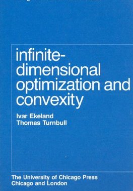 【预售】Infinite-Dimensional Optimization an...