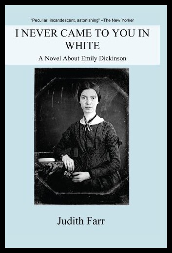 【预售】I Never Came to You in White: A Novel about Emily