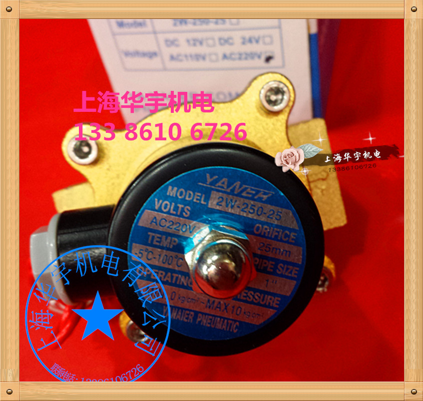 耐高温2W-250-251寸电磁阀全铜