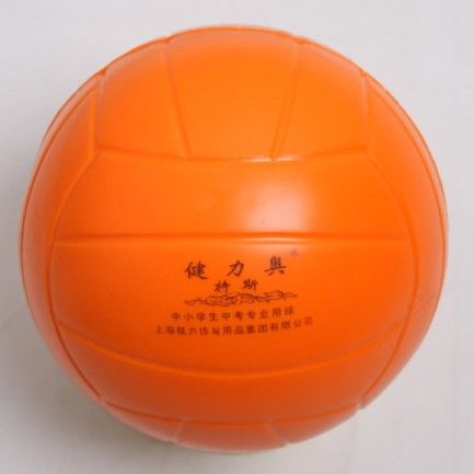 Ballon de volley - Ref 2016706 Image 1