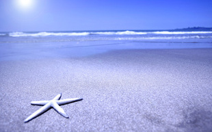 海边风景画海报定做客厅玄关走廊卧室装饰画沙滩海星贝壳画J4662B