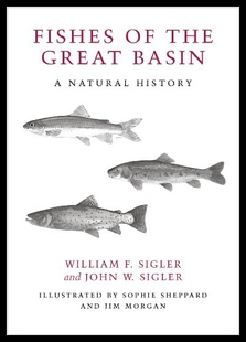 the Natural 预售 History Fishes Basin Great