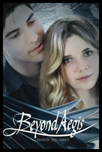 【预售】Beyond Aegis