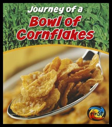 美国库房发货，通常付款后5-8周到货！