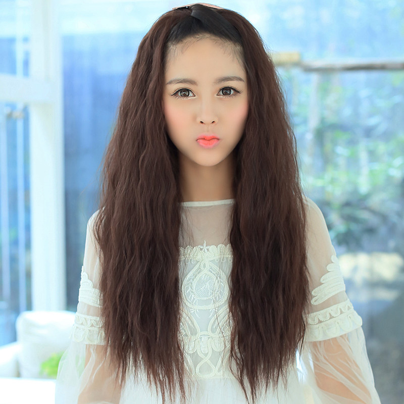 Perruque Les cheveux longs - Ref 2613414 Image 1