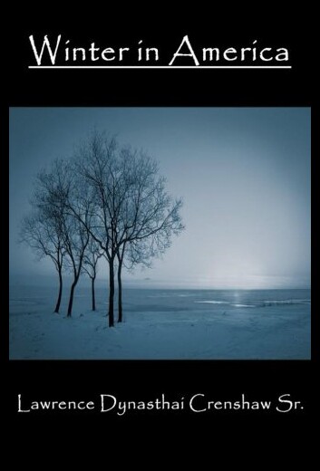 【预售】Winter in America