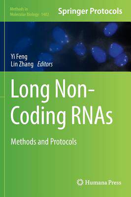 【预订】Long Non-Coding RNAs