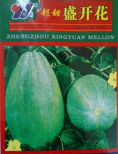 寿光甜瓜蔬菜种子