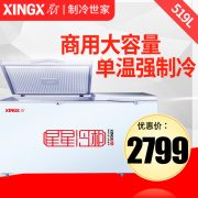 tủ đông cũ Tủ đông lớn XINGX / Star BD / BC-519E Tủ đông thương mại Tủ đông lớn Tủ lạnh lớn Tủ lạnh đơn nhiệt độ ngang - Tủ đông tủ đông 4 cánh