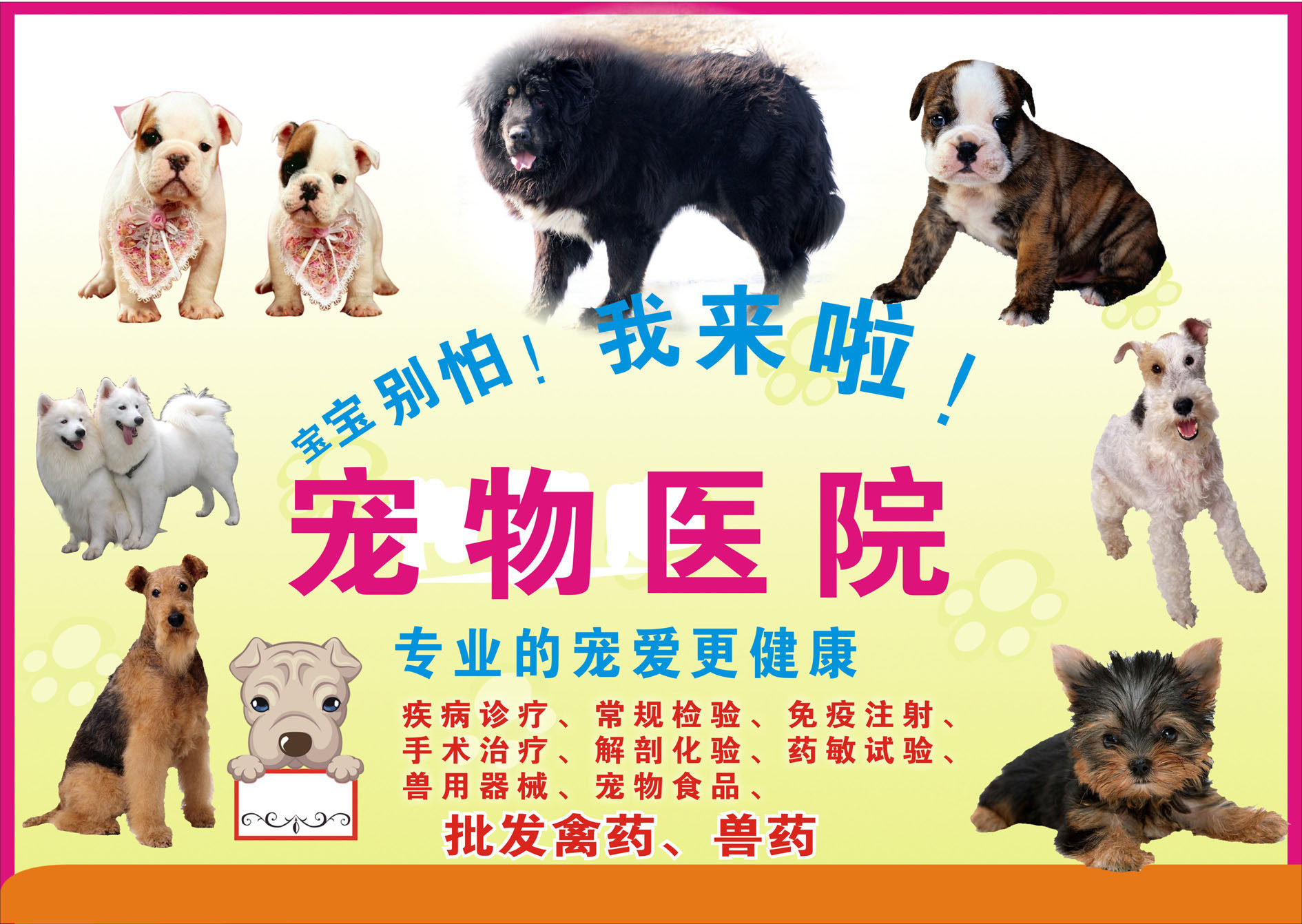 746海报印制展板写真喷绘贴纸224宠物医院宣传海报