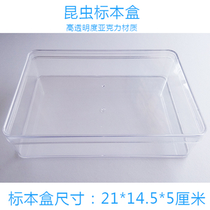昆虫标本盒 昆虫插针板 可插针标本盒 3#昆虫针 昆虫标本制作工具