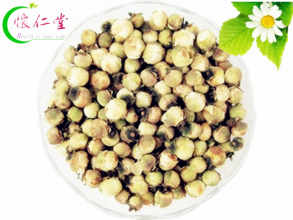 中药材山茶花 红茶花 宝珠山茶