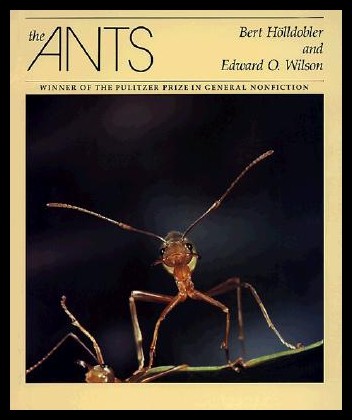 【预售】the ants