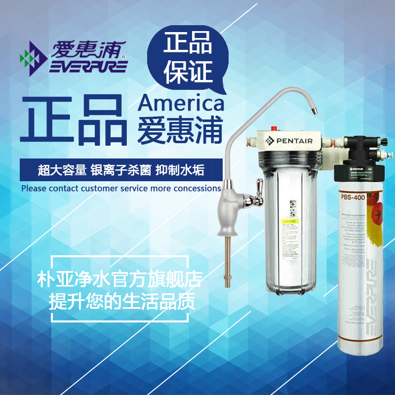 美国爱惠浦 PBS400 净水器 PBS-400末端净水机 全国包邮含安装