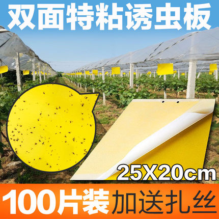 黄色粘虫板黄板双面诱虫板包邮果园飞虫粘虫蓝板黏虫板大棚防虫板