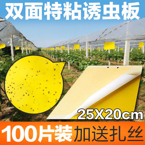 黄色粘虫板黄板双面诱虫板包邮果园飞虫粘虫蓝板黏虫板大棚防虫板 - 封面