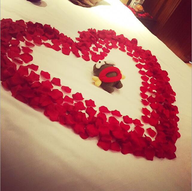 仿真花瓣婚庆婚礼布置装饰用品