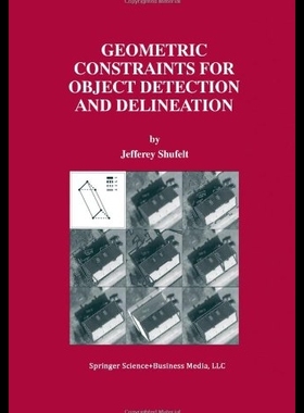【预售】Geometric Constraints for Object Detec