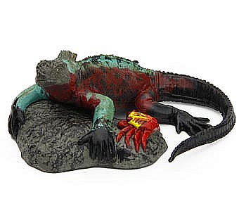 正版散货爬行类冷血动物启蒙蜥蜴