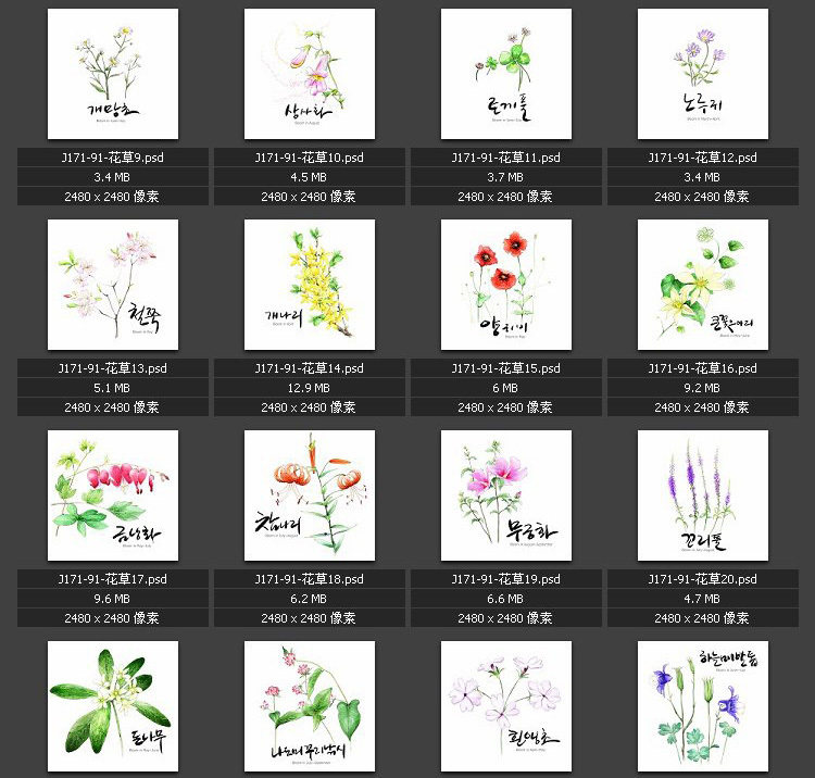 花草图片 绘画 分层psd 专业高清图片素材图库