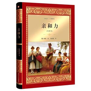亲和力 正版 书籍 歌德著 精装 世界经典文学名著 哲学 全译本 一部内涵深沉丰富的杰作