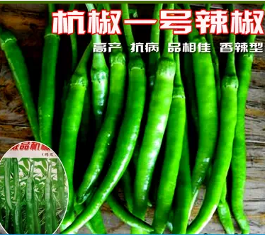蔬菜种子香辣杭椒一号杭椒二号线椒种子鸿福8号杭椒大棚大田种子