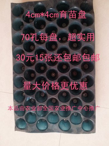 育苗盘满25元15盘包邮 南宁苗育盘育苗钵销售 70孔穴盘包邮 苗盘