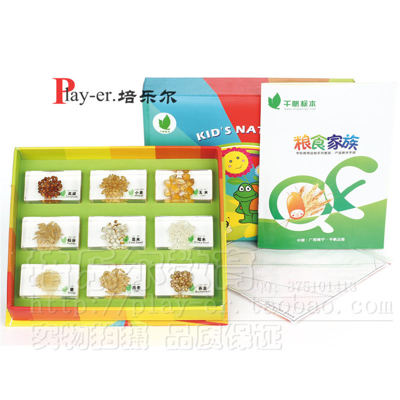 粮食家族幼儿园儿童科学实验室9种粮食外形及营养价值包埋标本