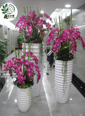 大型整体落地蝴蝶兰高仿真花价格