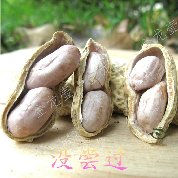 花生年老店 金龍壺 大池花生23元龍岩特産大池濕烤花生酥脆在類目 零食/堅果/特產, 山核桃/堅果/炒貨, 花生中 - 來自Buy2taobao.com提供專業的淘寶代購服務