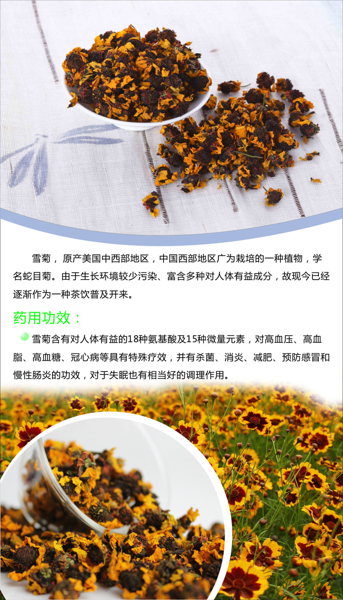 758海报印制展板写真喷绘607花茶茶行茶叶作用雪菊简介绍图片贴纸