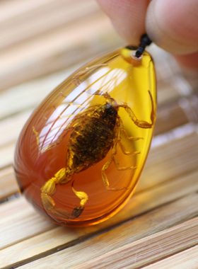 琥珀子羽渐变色蝎子昆虫标本项链