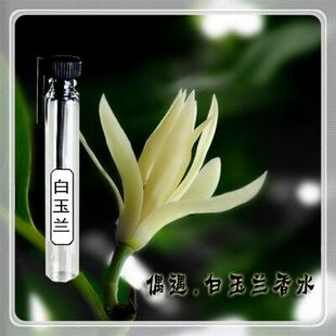 偶遇私家 白玉兰花香水 白兰花 清新花香 香水女士持久淡香 学生