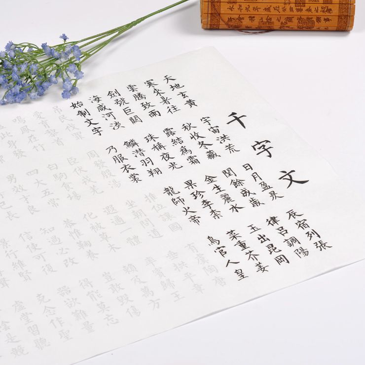 国学经典 千字文蝇头小楷半生半熟描红宣纸成人书法临摹字帖包邮