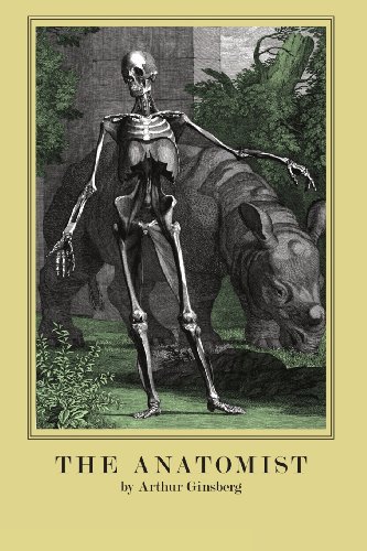 美国库房发货，通常付款后5-8周到货！