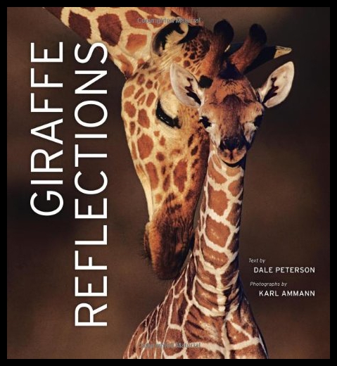 美国库房发货，通常付款后5-8周到货！