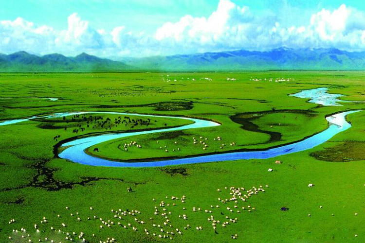 内蒙古旅游锡林郭勒草原塞罕坝乌兰布统草原蛤蟆坝3日自驾纯玩游|ruв категории праздник линий/отправить закрыть визы/служба туризма, свободной линии/с Миссией плавать, в стране с Миссией плавать - от Buy2taobao.com для оказания профессиональной услуги покупки агента Taobao