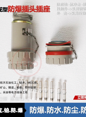 200AYT/GZ三相四极防爆插头插座 无火花插头插座 固定式插头插座