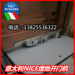 别墅开门机 平开门电机地藏式 意大利耐氏Nice地埋式 平开门机隐藏式