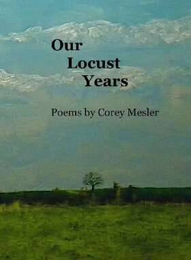 【预售】Our Locust Years