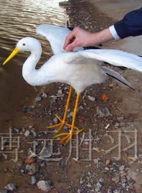仿真道具会场表演装饰摆件