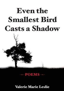 【预售】Even the Smallest Bird Casts a Shado...