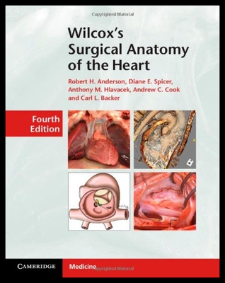 【预售】天猫正版：Wilcox's Surgical Ana...