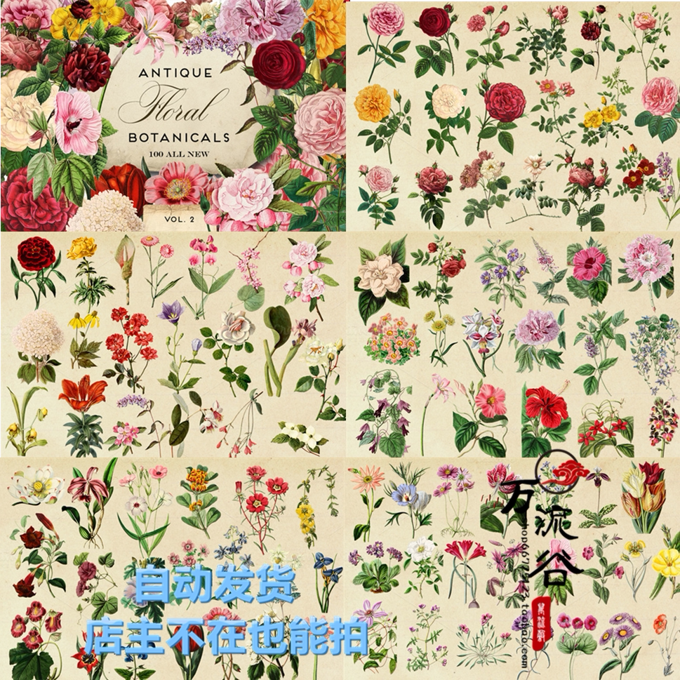 唯美复古手绘植物花卉插画绘本花朵叶子图案 PNG平面免扣设计素材