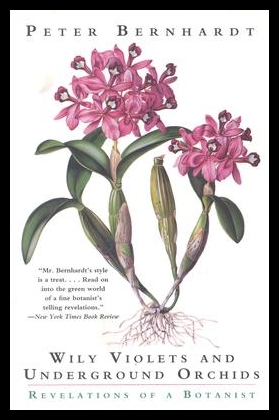 美国库房发货，通常付款后5-8周到货！