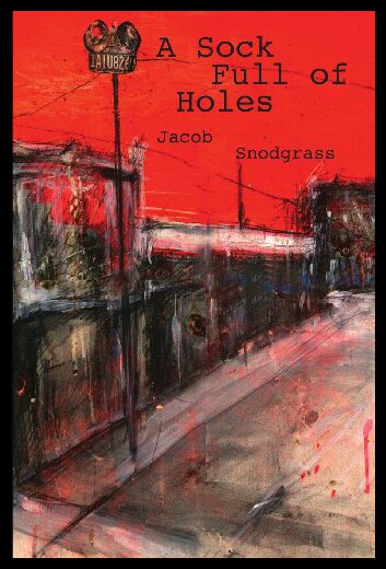 【预售】Sock Full of Holes