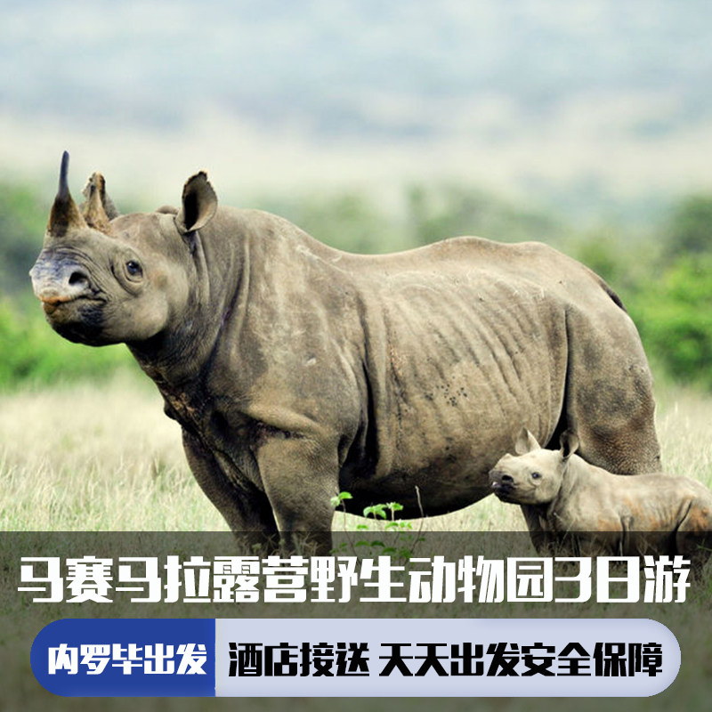 肯尼亚内罗毕出发 马赛马拉公园游猎三日游(私人住宿+三餐+接送)