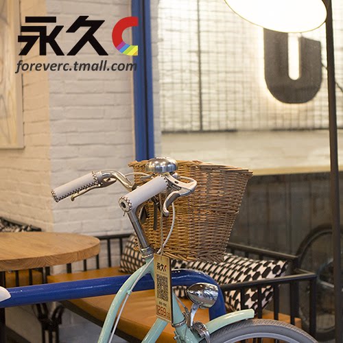 Panier pour vélo FOREVER CC en vigne - Ref 2265913 Image 1